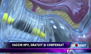 Vaccin HPV, gratuit si compensat