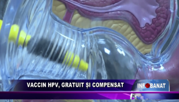 Vaccin HPV, gratuit si compensat