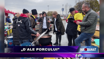 „D’ale porcului”