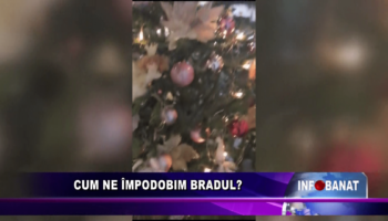 Cum ne împodobim bradul?