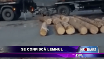 Se confiscă lemnul