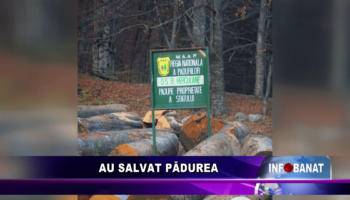 Au salvat pădurea