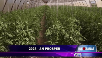 2023 –  an prosper