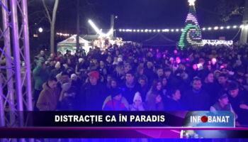 Distracție ca în Paradis