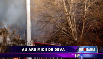 Au ars micii de Deva