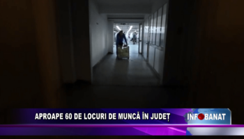 Aproape 60  de locuri de muncă în județ