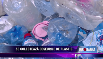Se colectează deșeurile de plastic