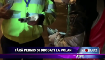 Fără permis și drogați la volan