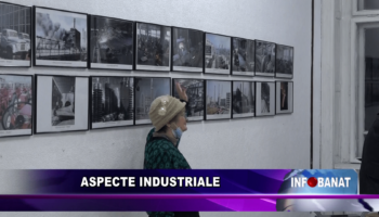 Aspecte industriale