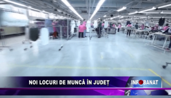 Noi locuri de muncă în județ