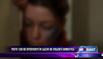 Peste 1200 de intervenții în cazuri de violență domestică