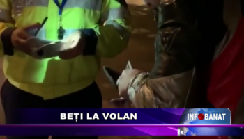 Beți la volan
