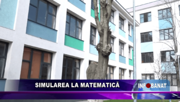 Simularea la matematică