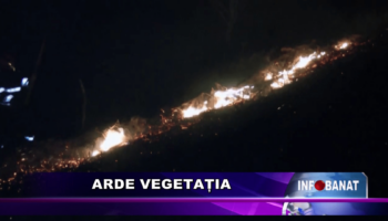 Arde vegetația