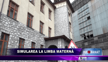 Simularea la limba maternă