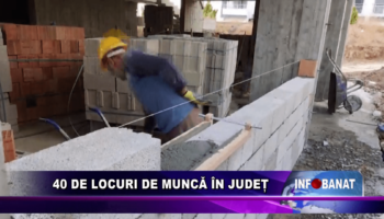 40 de locuri de muncă în județ