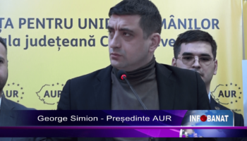 „PNL-PSD, un mușuroi de termite”