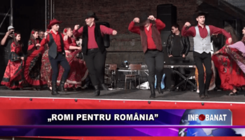 „Romi pentru România”