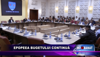 Epopeea bugetului continuă