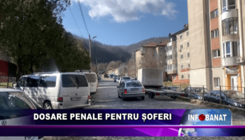 Dosare penale pentru șoferi