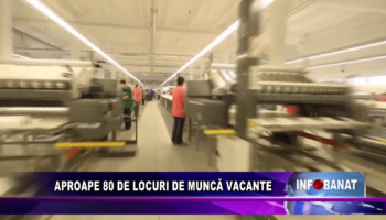 Aproape 80 de locuri de muncă vacante