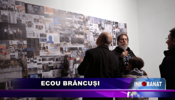 Ecou Brâncuși