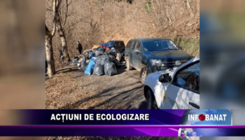 Acțiuni de ecologizare