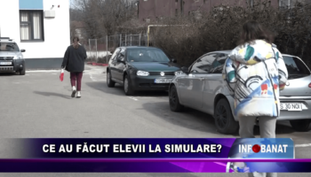 Ce au făcut elevii la simulare?