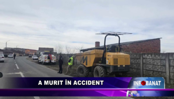 A murit în accident