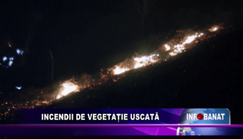 Incendii de vegetație uscată