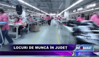 Locuri de muncă în județ