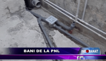 Bani de la PNL