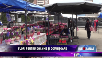 Flori pentru doamne și domnișoare