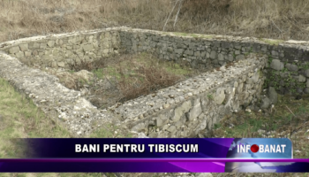 Bani pentru Tibiscum