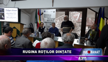 Rugina roților dințate