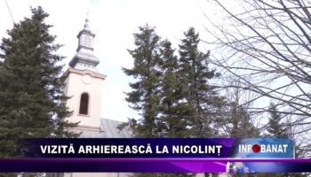 Vizită arhierească la Nicolinț