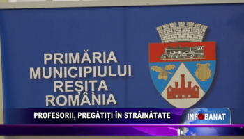 Profesorii, pregătiți în străinătate