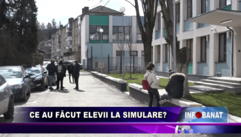 Ce au făcut elevii la simulare?