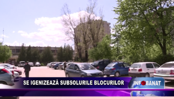 Se igenizează subsolurile blocurilor