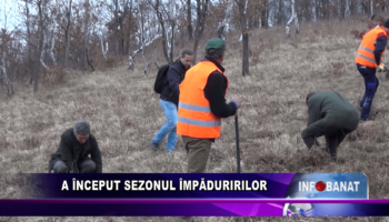 A început sezonul împăduririlor