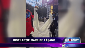 Distracție mare de Fășang