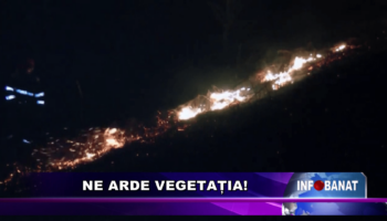 Ne arde vegetația