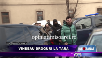 Vindeau droguri la țară