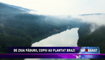 De Ziua Pădurii, copiii au plantat brazi