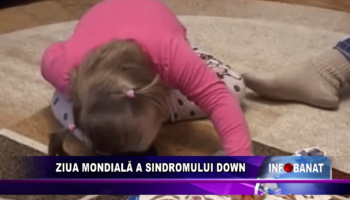 Ziua Mondială a Sindromului Down