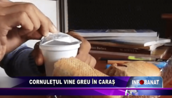 Cornulețul vine greu în Caraș