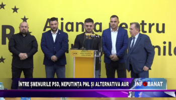 Între șmenurile PSD, neputința PNL și alternativa AUR