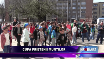 Cupa Prietenii Munților