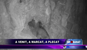 A venit, a marcat, a plecat