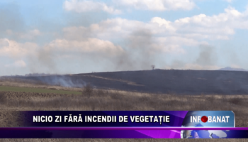 Nicio zi fără incendii de vegetație